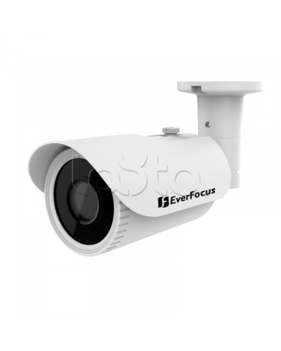 Камера видеонаблюдения в стандартном исполнении EverFocus EZA-2580 в Новосибирске Аналоговые камеры Pintop.ru